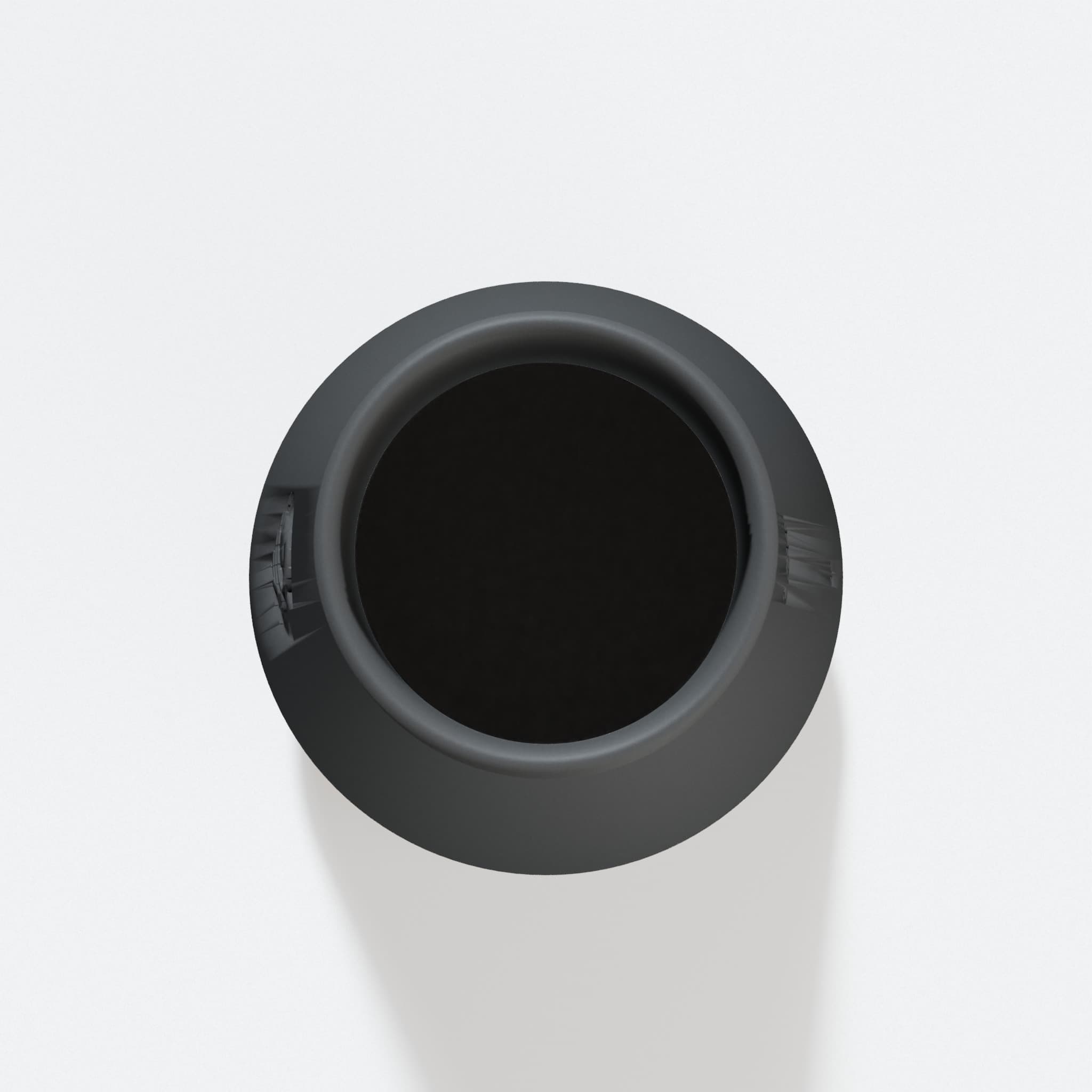 Top view into the 101.6 mm opening of the SPT99 adapter